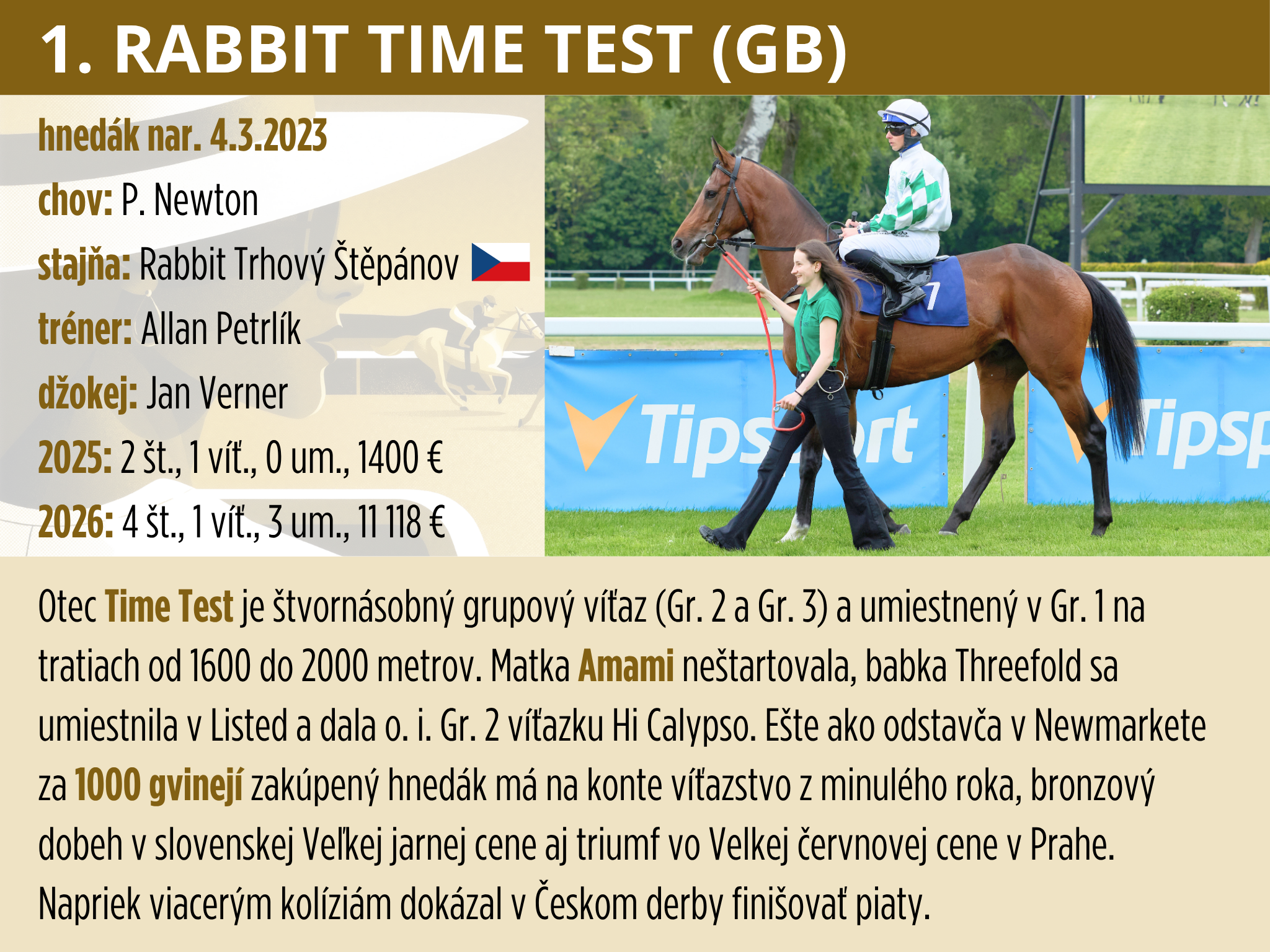 1-Rabbit