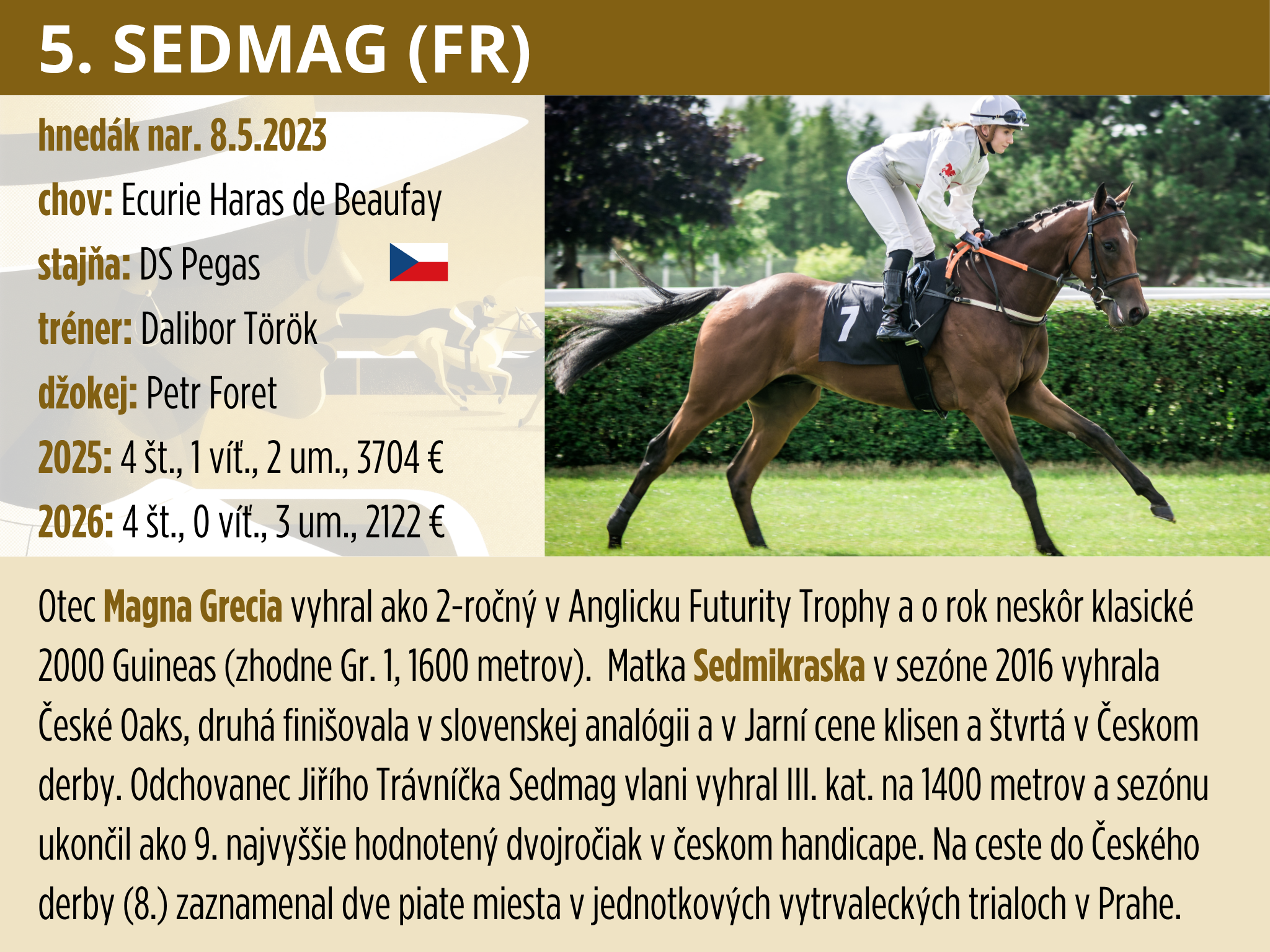 5-Sedmag