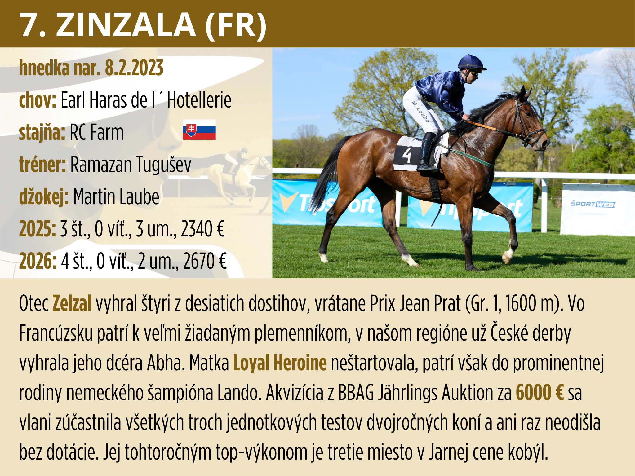 7-Zinzala